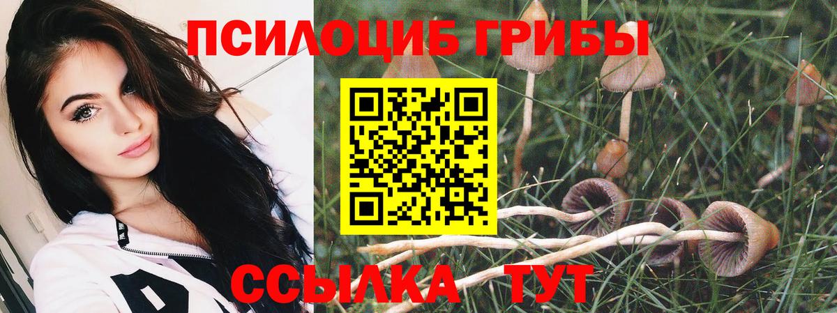 Псилоцибиновые грибы прущие грибы  Вход с VPN  Галлюциногенные грибы Magic Shrooms  Саянск 