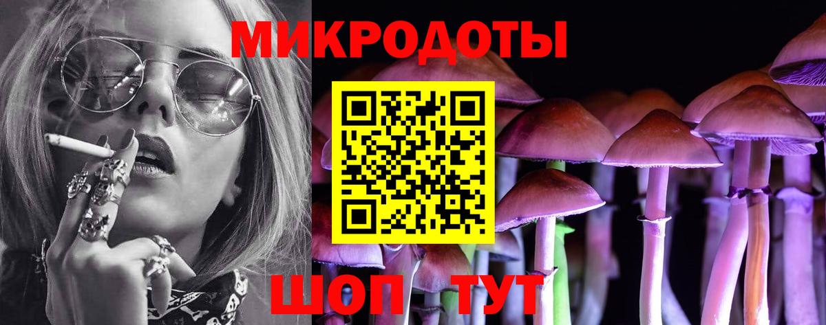 Псилоцибиновые грибы Cubensis Саянск